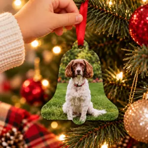 christmas-decoration-BeHbCTD