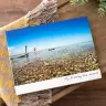 A beautifully designed photobook titled ''Fly Fishing the World'' resting on a wooden surface with a textured yellow and grey blanket and green foliage. The cover features a serene image of a person fly fishing in clear, shallow waters under a bright blue sky. Ideal for personalised gifts in South Africa, photo albums, and unique gift ideas.