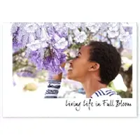 thumb-l-jacaranda.webp-alt