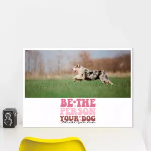my-dog-cv-a2l