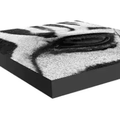 canvas-blackborder-240.webp-alt