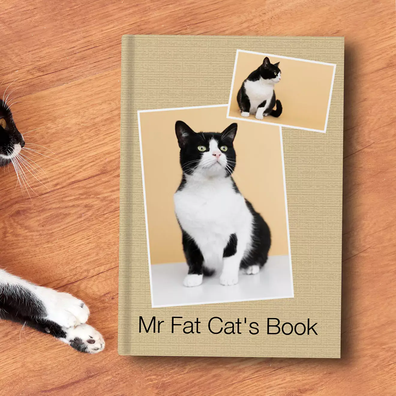 theme-rspba4p-simplicity.webp-alt