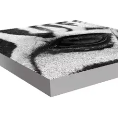 canvas-grey-border-240.webp-alt