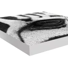 canvas-whiteborder-240.webp-alt