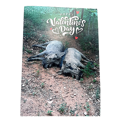 Valentine's Day card featuring two warthogs lying close together on the ground, surrounded by greenery. The card has 'Happy Valentine's Day' written at the top with heart illustrations.