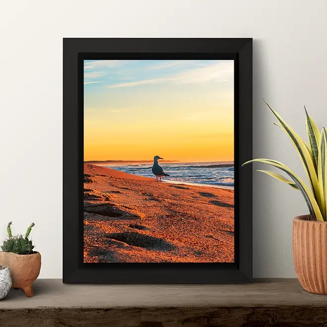 RapidStudio's Premium Floating framed canvas prints Pic2