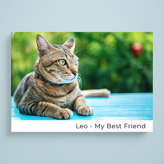 Pet Memories a4 personalised hardcover photobook, dedicated to the joy and companionship of your furry friends, capturing their quirks, adventures, and precious moments.