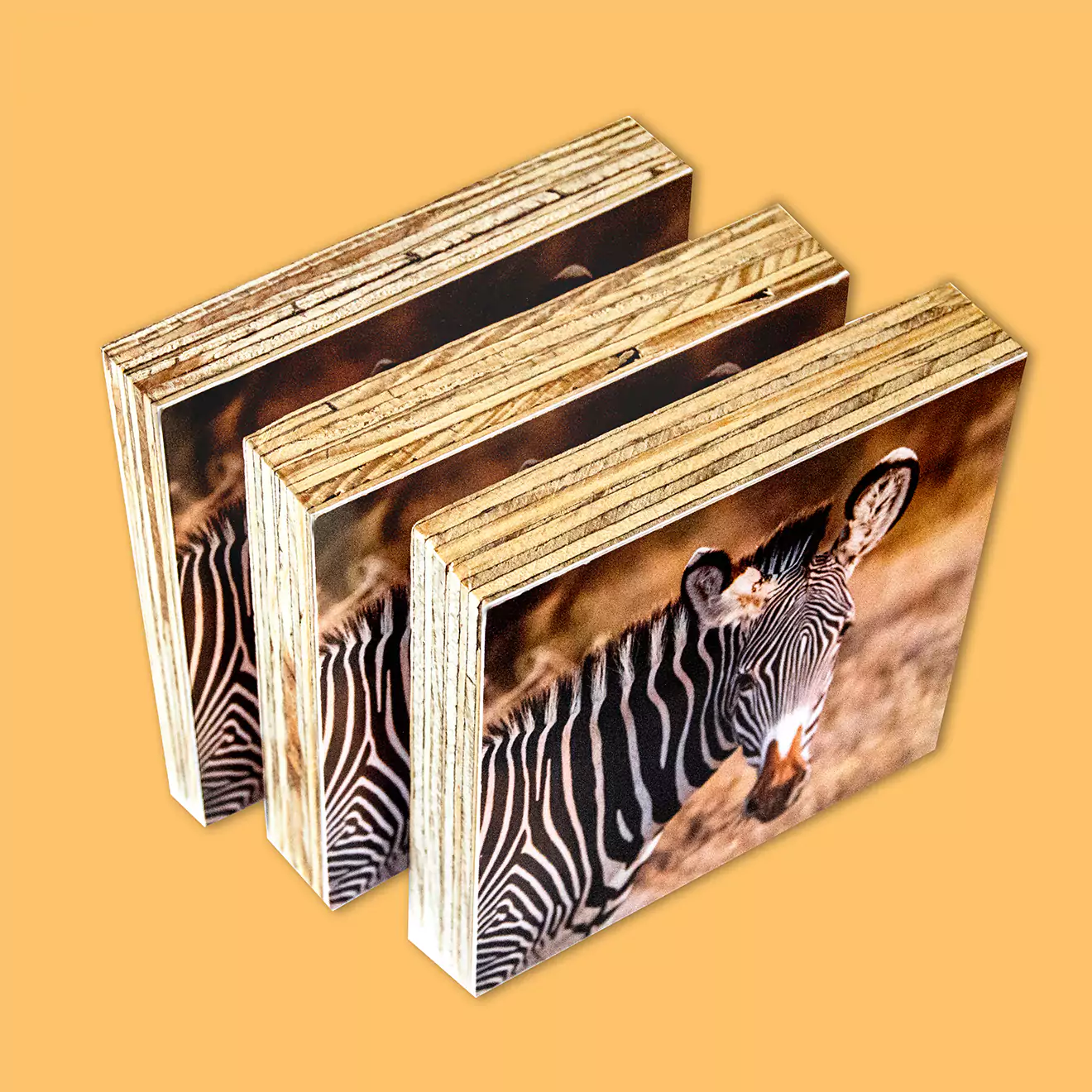 Three wooden photo blocks featuring a close-up image of a zebra in a natural setting. The blocks are arranged in a staggered formation against a solid orange background. Ideal for personalised gifts, home decor, or unique photo displays.