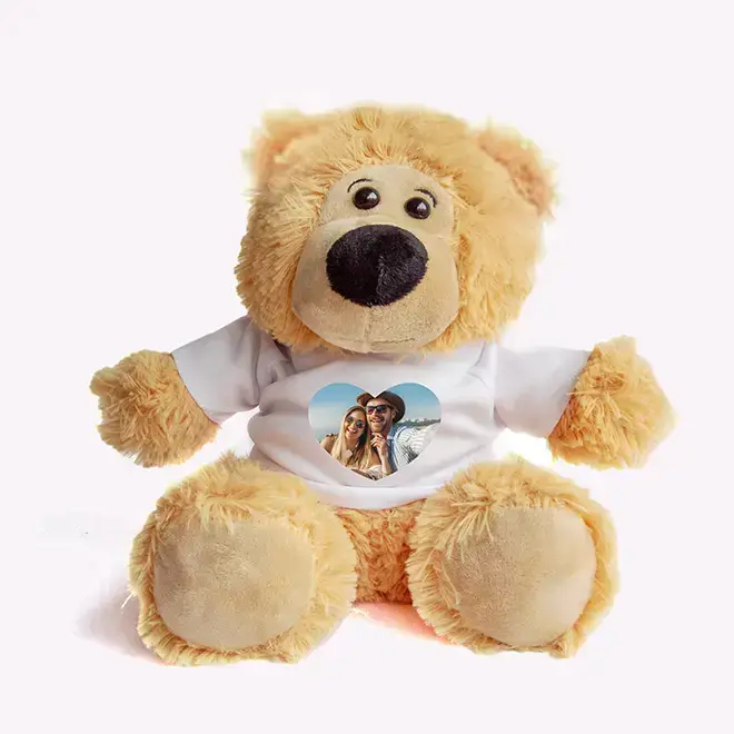 Make your own personalised photo Valentine heart teddy bear soft toy online with RapidStudio