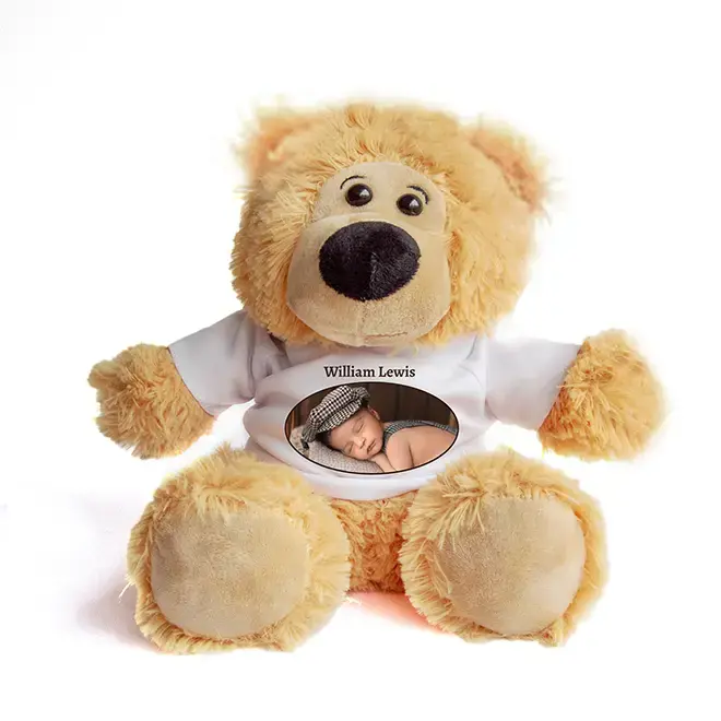 Make your own personalised photo teddy bear soft toy online with RapidStudio