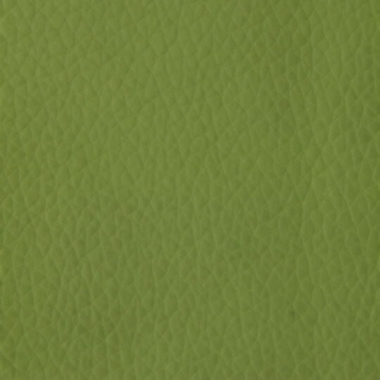 Leaf green leather colour is a good choice when bright, loud effect is desired for your beautiful handmade photo book or album.