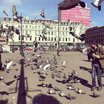 Vibrant square in the middle of Glasgow with pigeons, perfect for a photo book