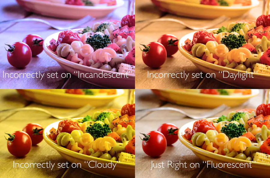 Illustration showing the difference in casts with various white balance settings: incorrect daylight, correct fluorescent, set on cloudy, and incorrect iridescent