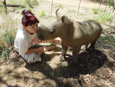 Lady kissing a baby rhino at RapidStudio's Rhino Orphanage charity, showing affection and support for wildlife conservation