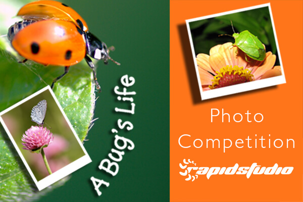 A Bug's Life Photo Competition