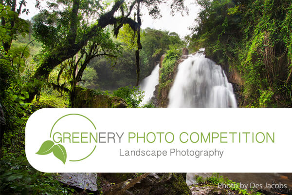 Greenery [Landscape] Photo Competition