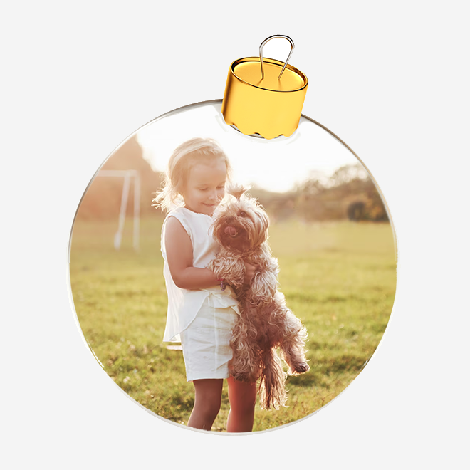 Remembering our Pet with a photo bauble gift online from RapidStudio