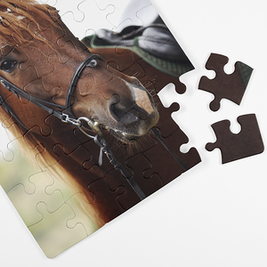 Remembering our Pet with a photo puzzle gift online from RapidStudio